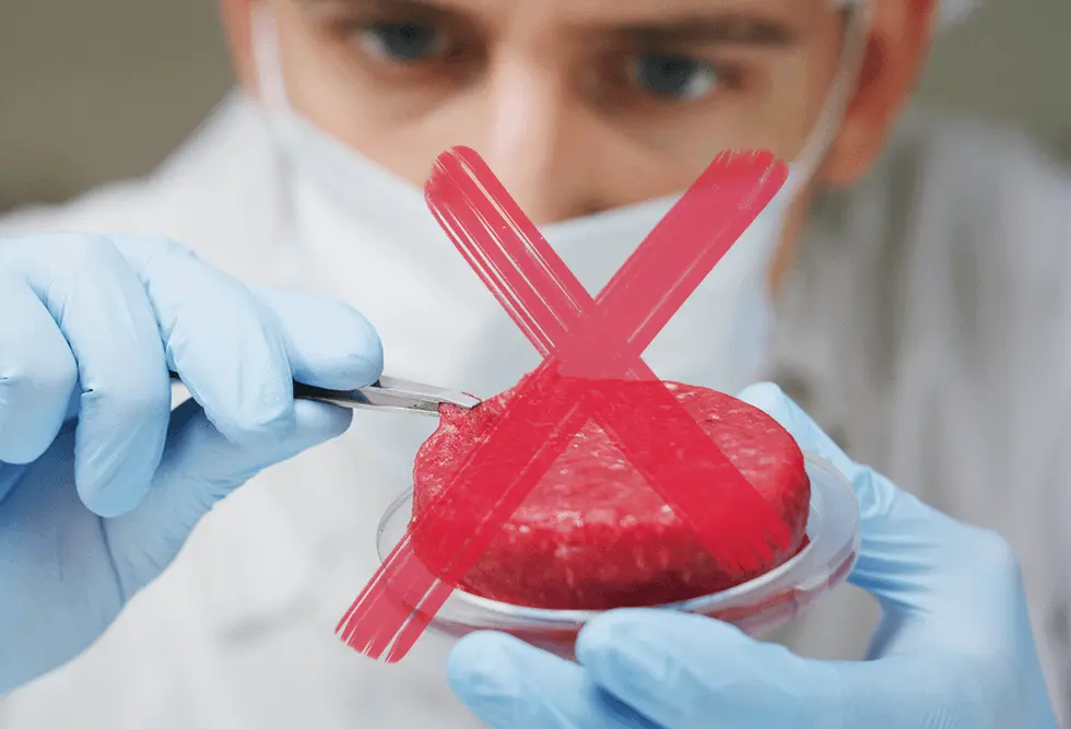 Scientist taking a sample from a raw beef burger patty