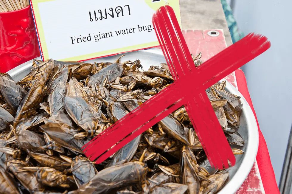 Fried giant water bugs